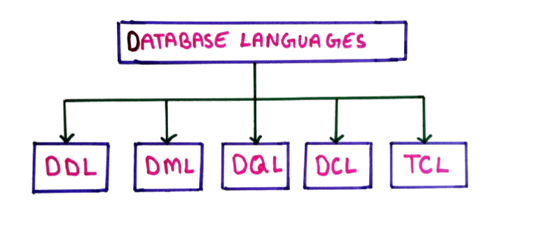 Types of Database Languages