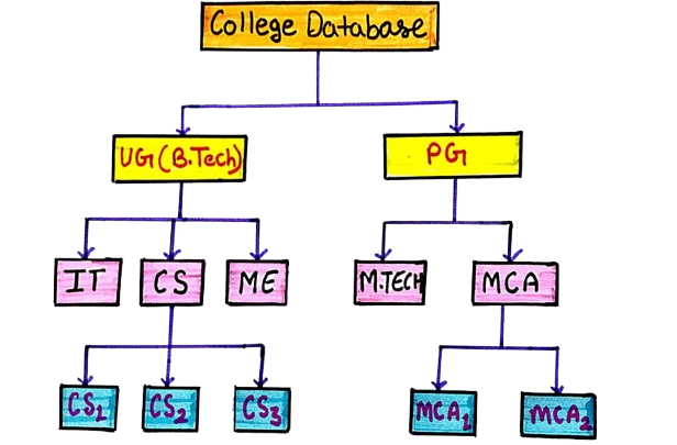 Hierarchical Database Diagram