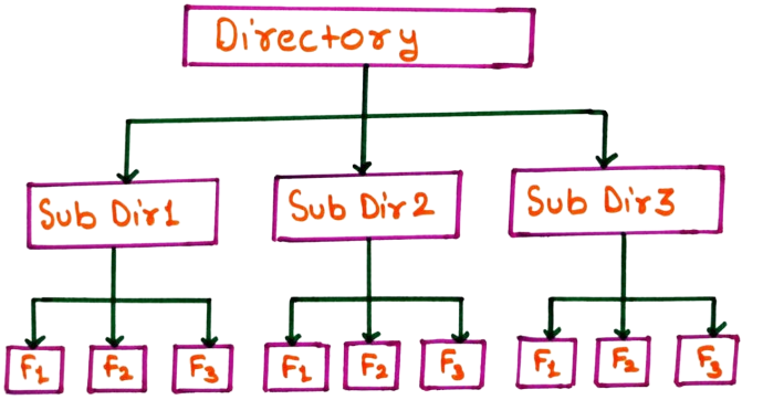 File Directory Strcture