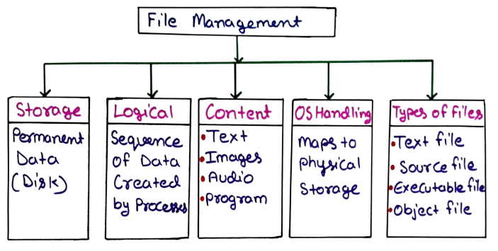 File Management in operating system