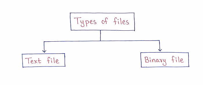 Diagram showing Types of Files divided into Text File and Binary File